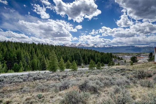 172 Brooklyn Circle Leadville, CO 80461