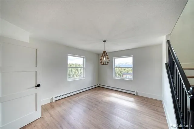 172 Brooklyn Circle Leadville, CO 80461