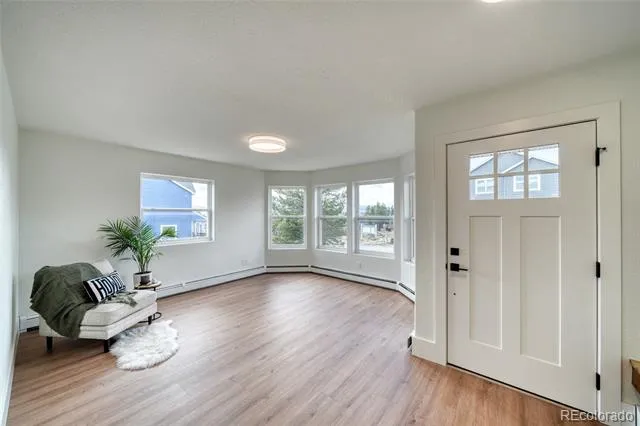 172 Brooklyn Circle Leadville, CO 80461