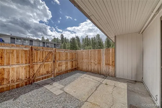 921 Mt Massive Drive #16 Leadville, CO 80461
