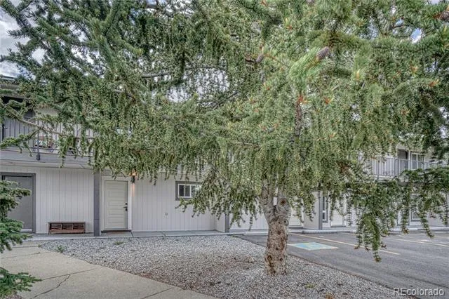 921 Mt Massive Drive #16 Leadville, CO 80461