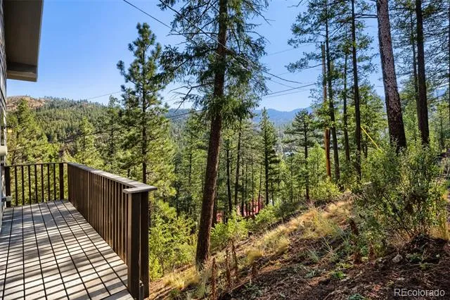9899 Overlook Road Sedalia, CO 80135