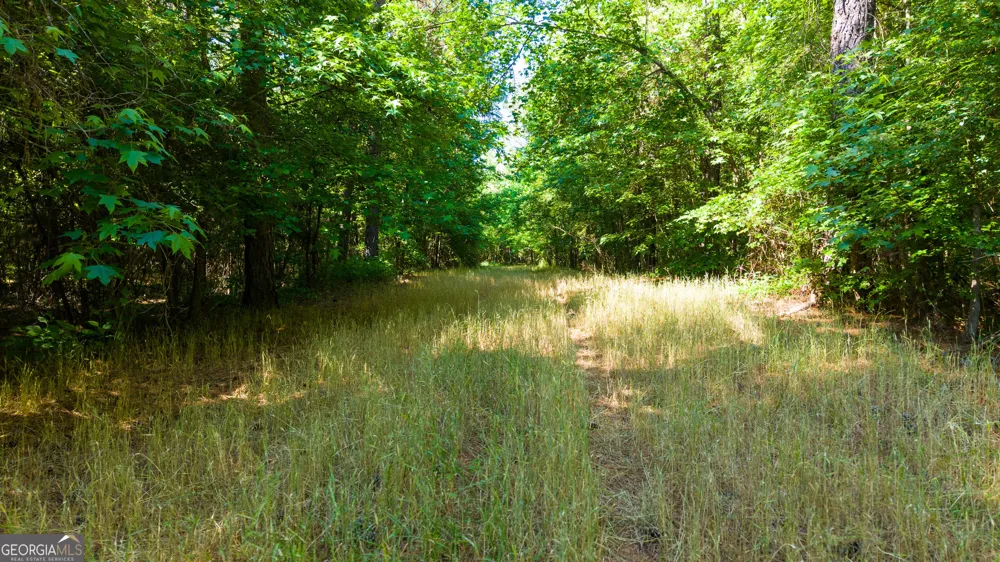 0 Calhoun Falls HWY Elberton, GA 30635