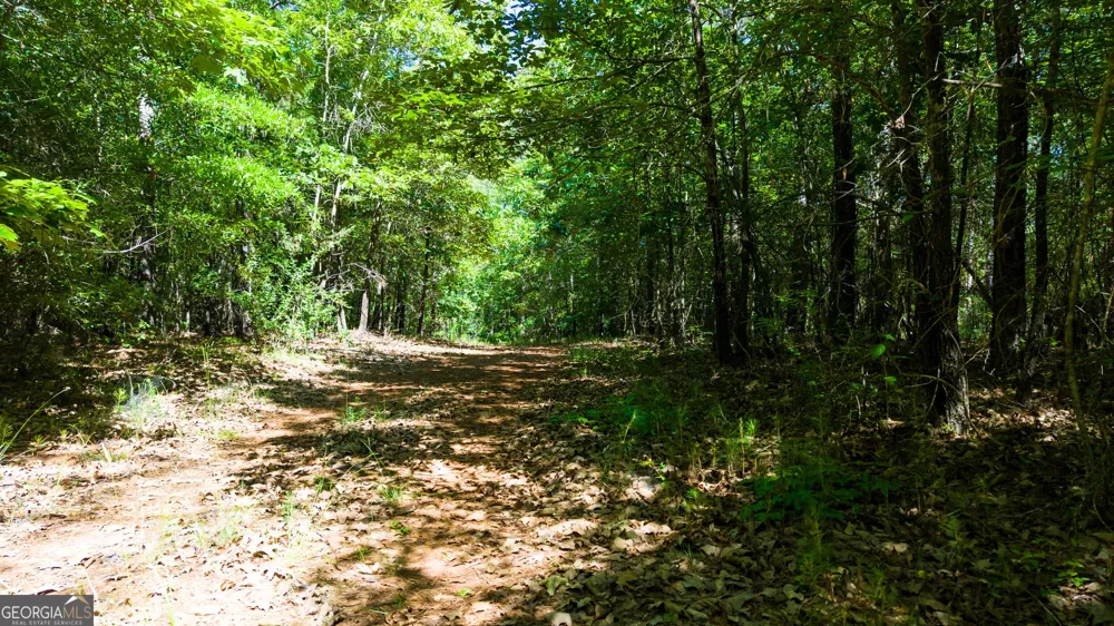 0 Calhoun Falls HWY Elberton, GA 30635