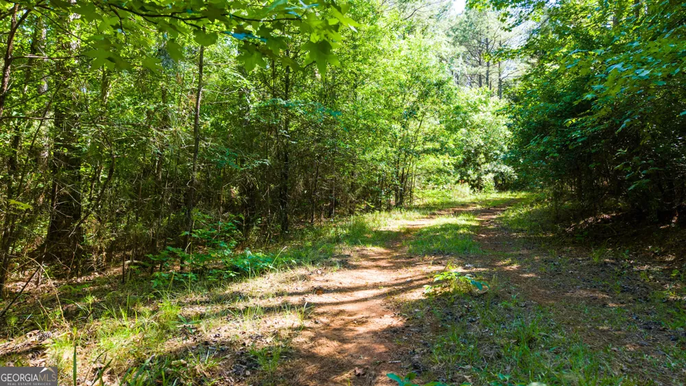 0 Calhoun Falls HWY Elberton, GA 30635