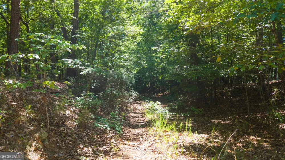 0 Calhoun Falls HWY Elberton, GA 30635