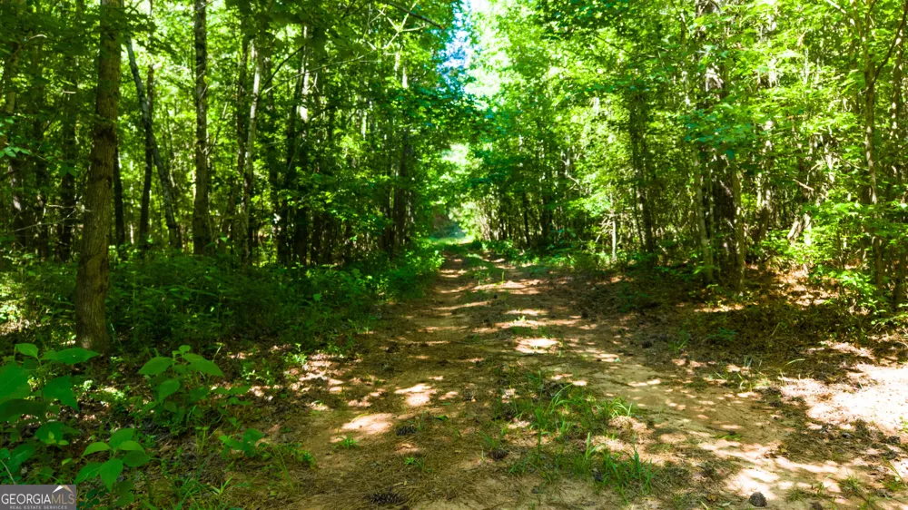 0 Calhoun Falls HWY Elberton, GA 30635