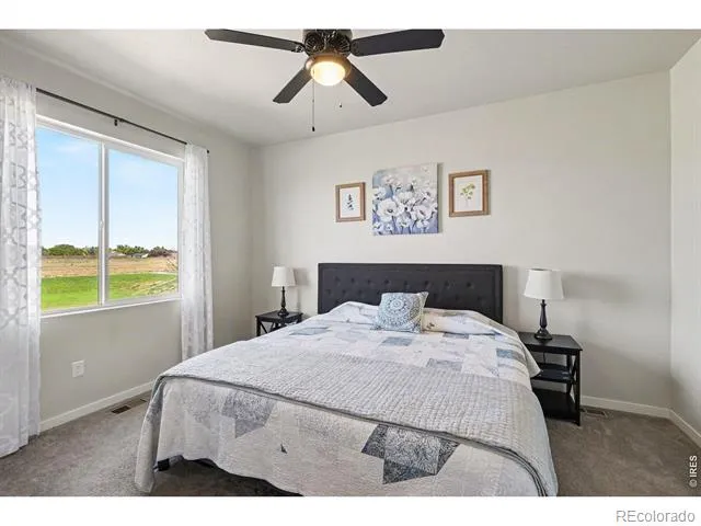 7467 Horsechestnut Street Wellington, CO 80549