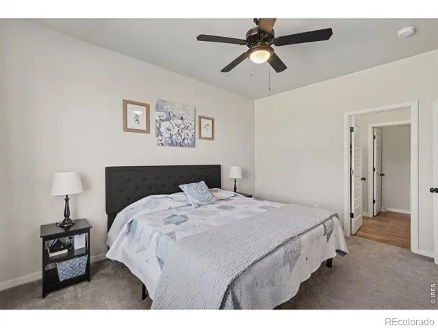 7467 Horsechestnut Street Wellington, CO 80549