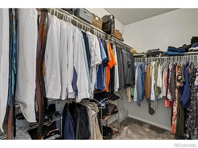 7467 Horsechestnut Street Wellington, CO 80549