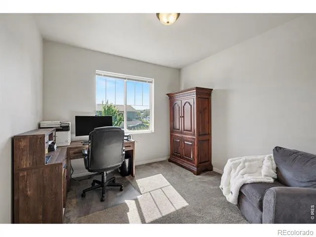 7467 Horsechestnut Street Wellington, CO 80549