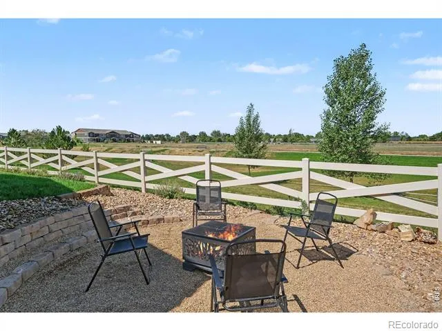 7467 Horsechestnut Street Wellington, CO 80549