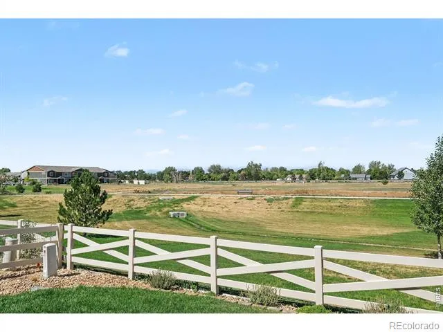 7467 Horsechestnut Street Wellington, CO 80549