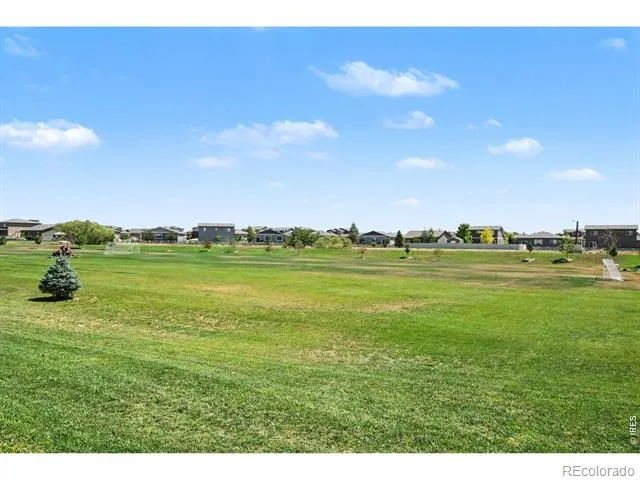 7467 Horsechestnut Street Wellington, CO 80549