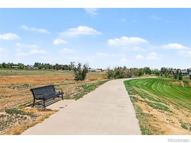 7467 Horsechestnut Street Wellington, CO 80549