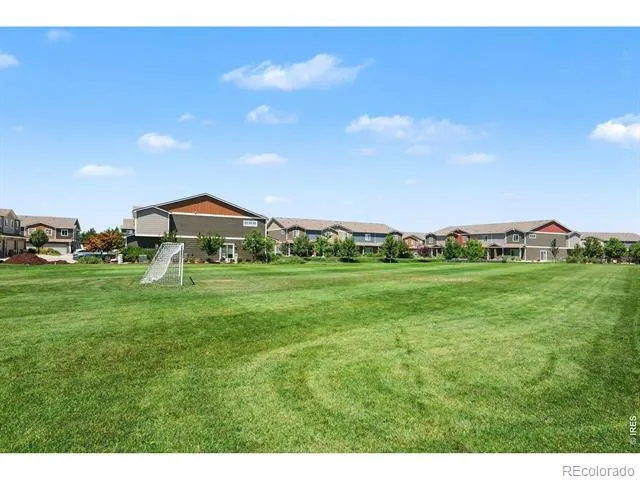 7467 Horsechestnut Street Wellington, CO 80549