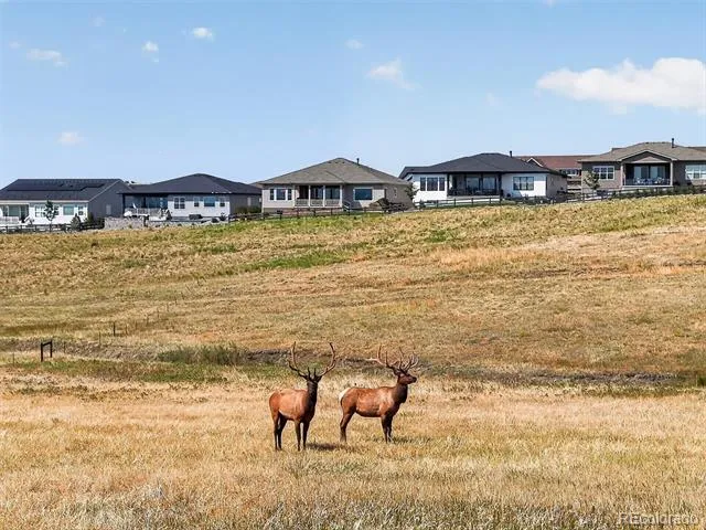 227 Scrubjay Lane Castle Rock, CO 80104