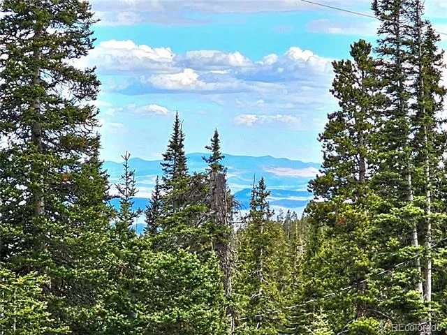 387 El Lobo Lane Fairplay, CO 80440