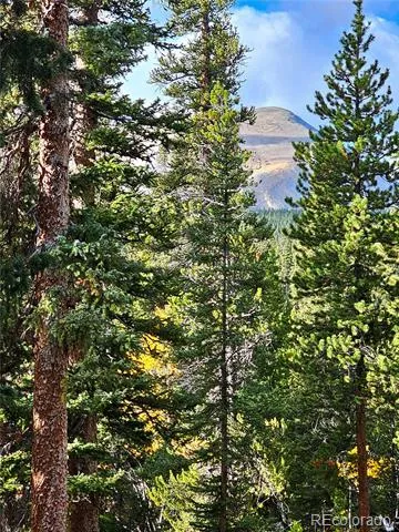 102 Gold Trail Fairplay, CO 80440