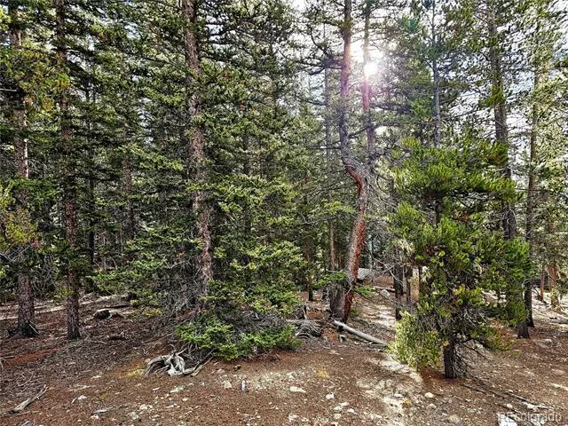 102 Gold Trail Fairplay, CO 80440