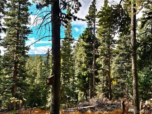 102 Gold Trail Fairplay, CO 80440