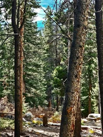 102 Gold Trail Fairplay, CO 80440