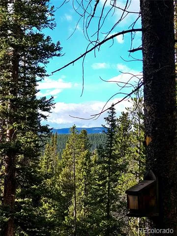102 Gold Trail Fairplay, CO 80440