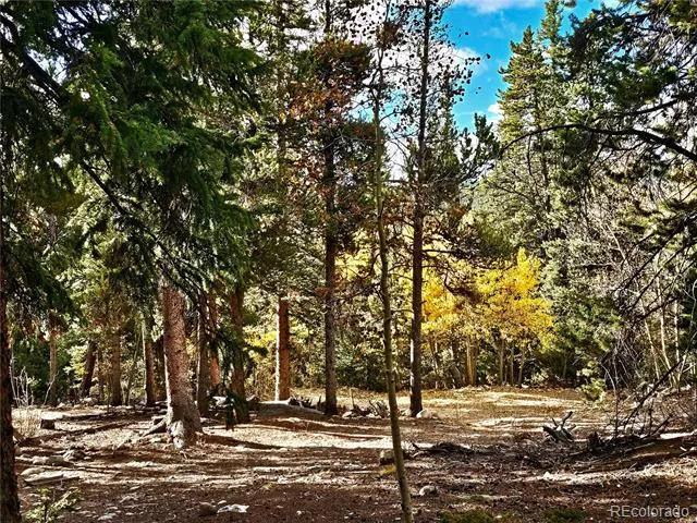 102 Gold Trail Fairplay, CO 80440