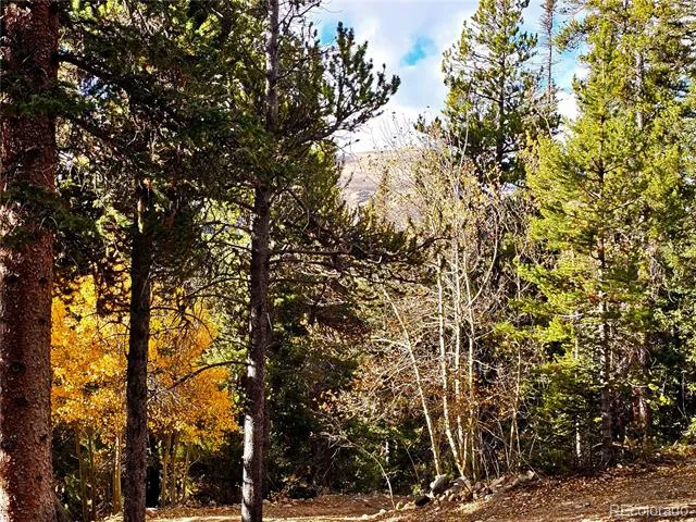 102 Gold Trail Fairplay, CO 80440