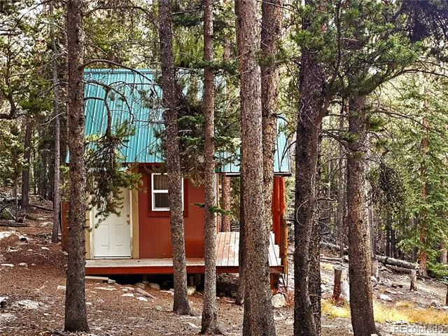 102 Gold Trail Fairplay, CO 80440