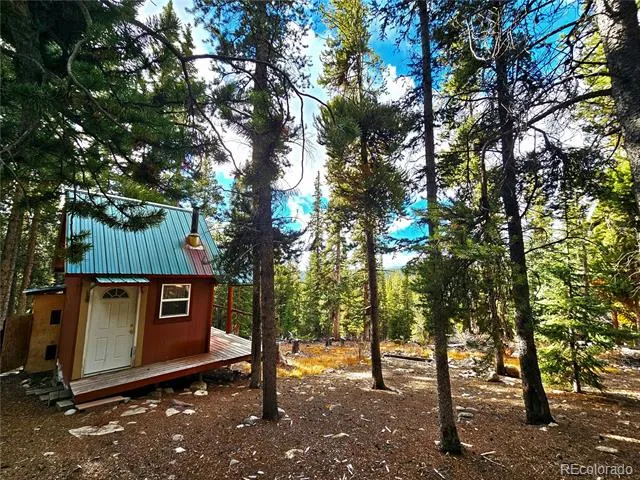 102 Gold Trail Fairplay, CO 80440