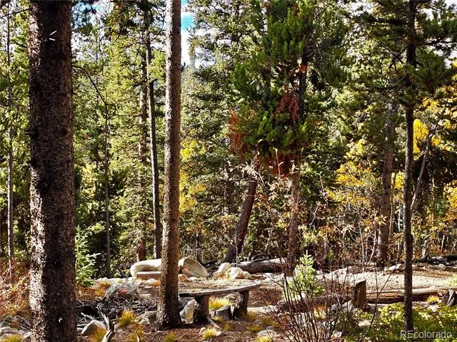 102 Gold Trail Fairplay, CO 80440