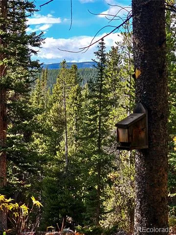 102 Gold Trail Fairplay, CO 80440