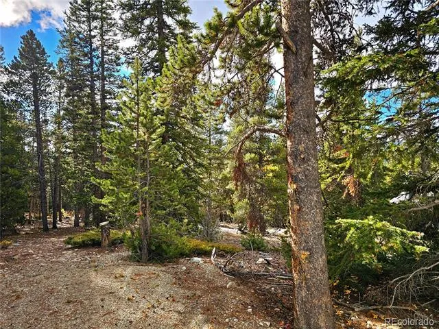 102 Gold Trail Fairplay, CO 80440