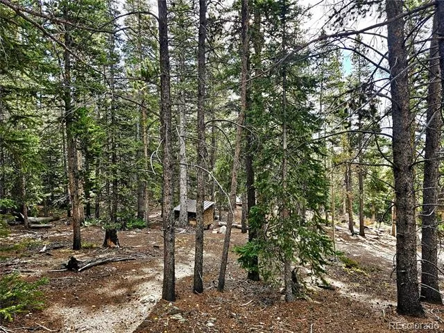102 Gold Trail Fairplay, CO 80440