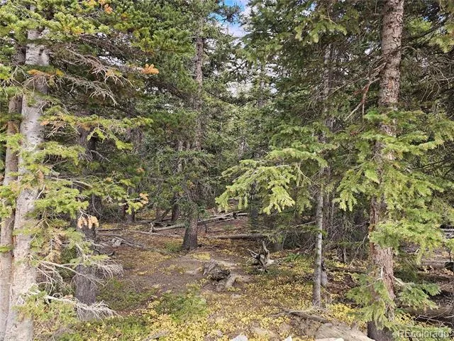 617 Gold Trail Circle Fairplay, CO 80440