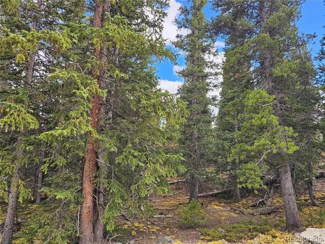 617 Gold Trail Circle Fairplay, CO 80440