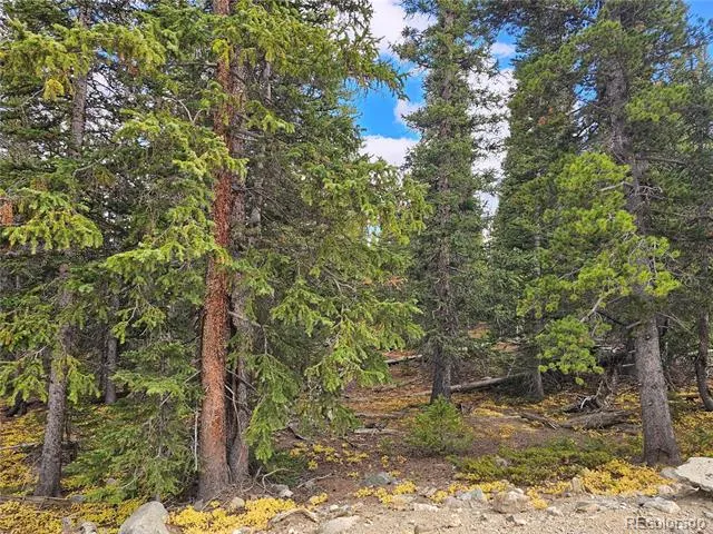 617 Gold Trail Circle Fairplay, CO 80440