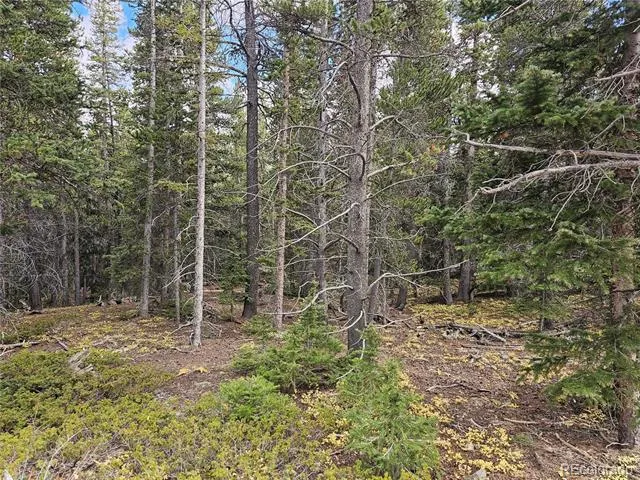 617 Gold Trail Circle Fairplay, CO 80440