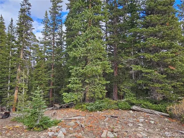 617 Gold Trail Circle Fairplay, CO 80440