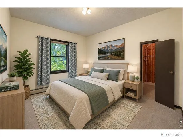338 County Road 84 W Allenspark, CO 80510
