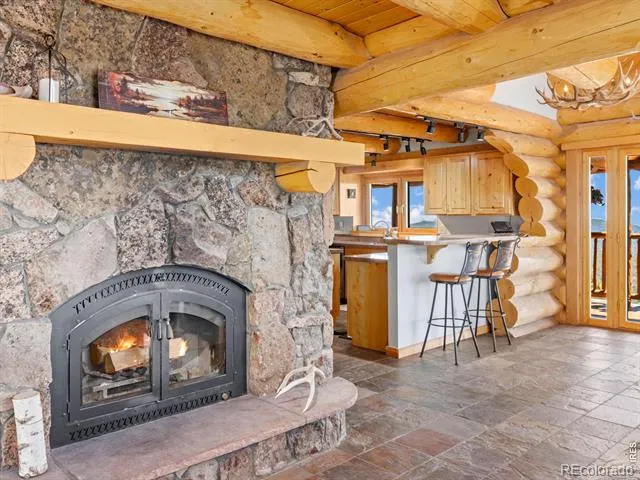 1398 Gold Lake Road Ward, CO 80481
