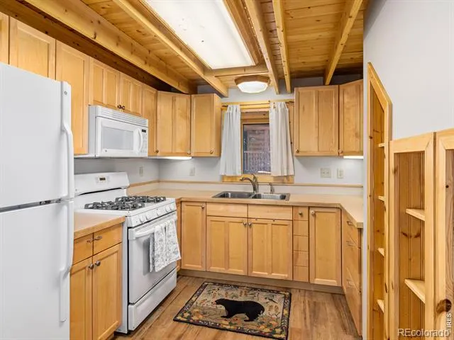 1398 Gold Lake Road Ward, CO 80481