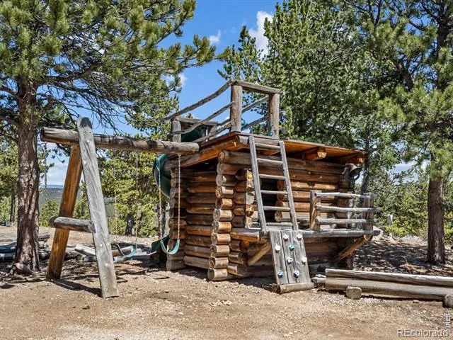 1398 Gold Lake Road Ward, CO 80481