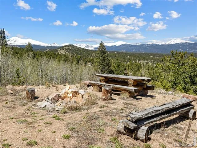 1398 Gold Lake Road Ward, CO 80481