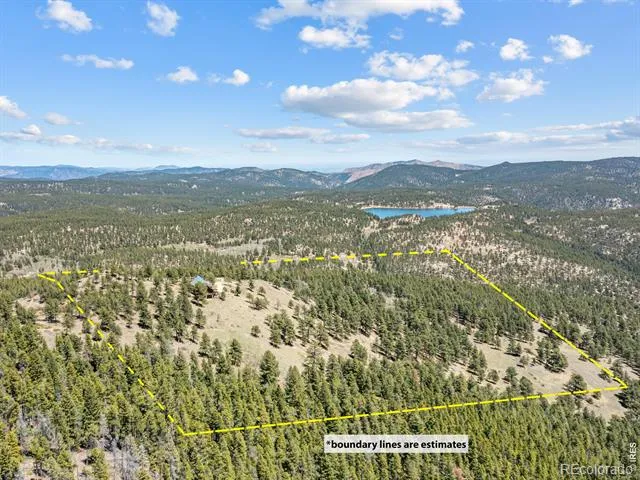 1398 Gold Lake Road Ward, CO 80481