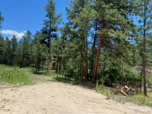 1025 Tenderfoot Drive Larkspur, CO 80118
