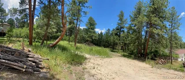 1025 Tenderfoot Drive Larkspur, CO 80118