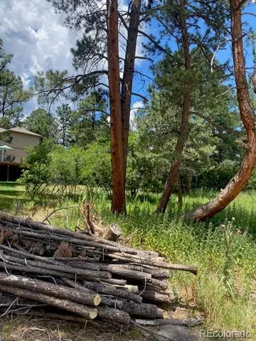 1025 Tenderfoot Drive Larkspur, CO 80118