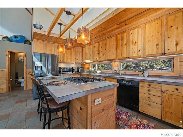 143 Crockett Trail Ward, CO 80481